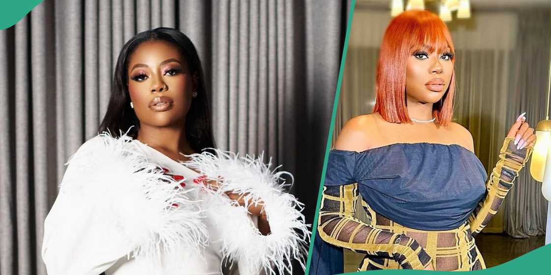 Sophia Momodu's response to toaster trends. Sophia Momodu's response to toaster trends.