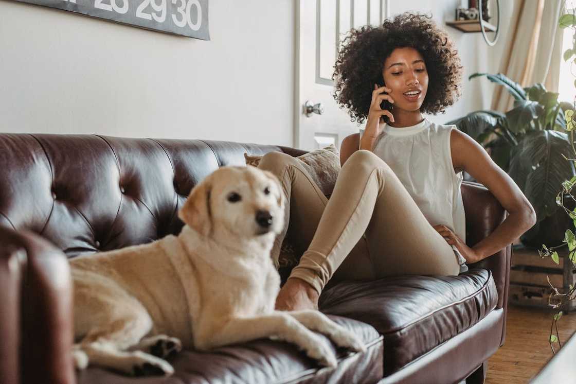 A woman relaxes on a couch with a dog beside her while she talks on the phone. A woman relaxes on a couch with a dog beside her while she talks on the phone.