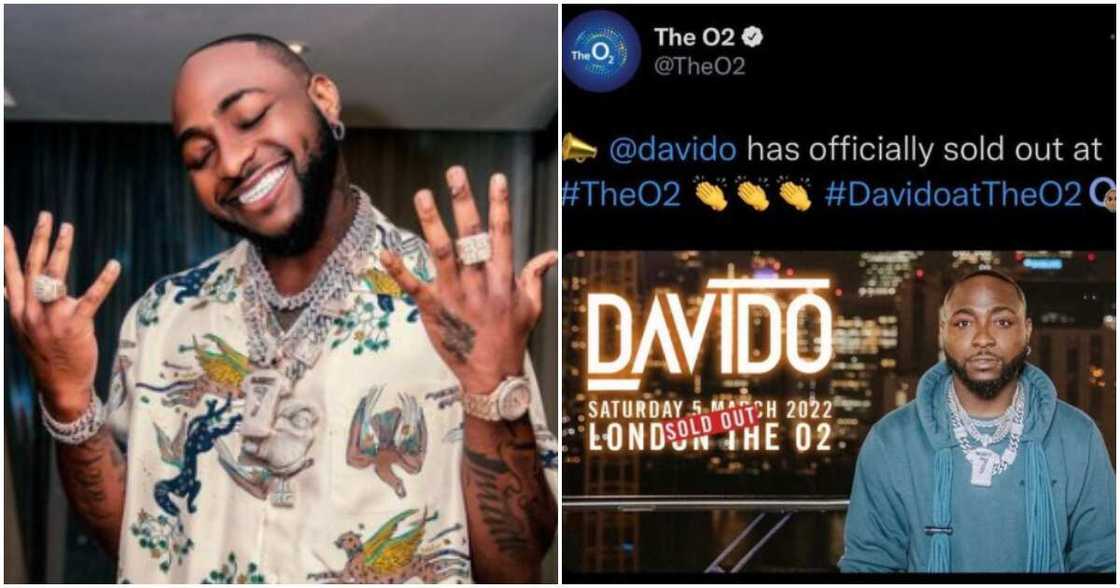 Davido Davido