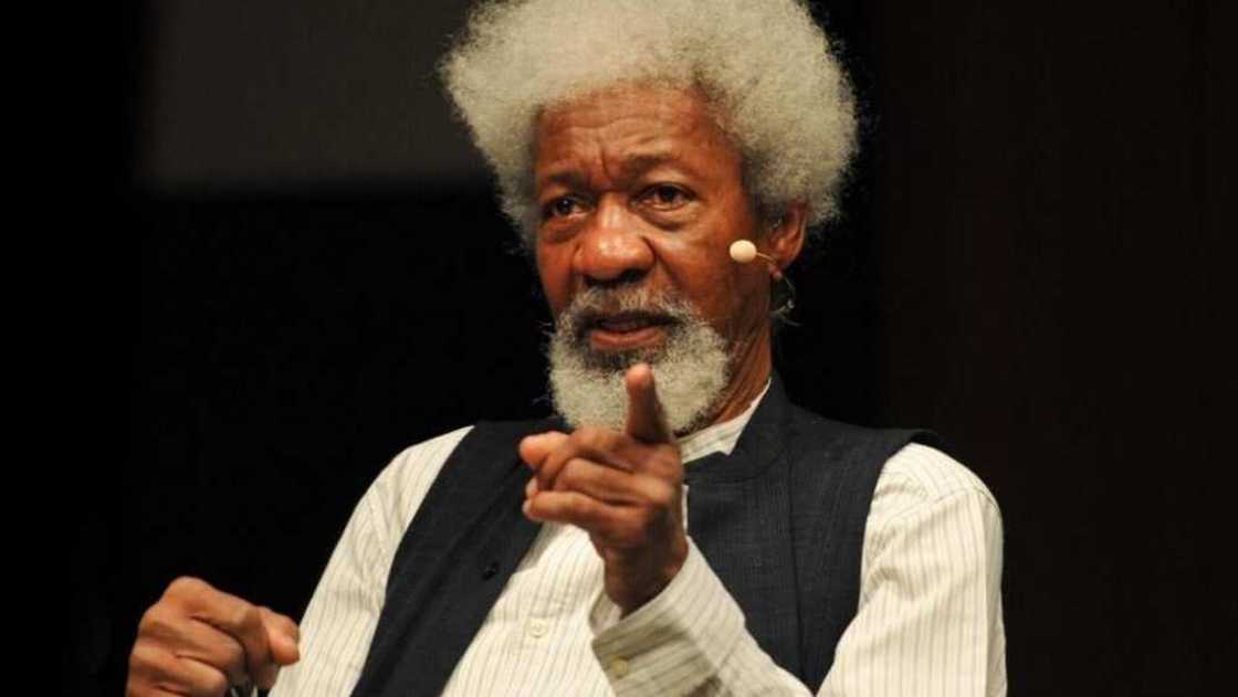 Farfesa Wole Soyinka. Farfesa Wole Soyinka.