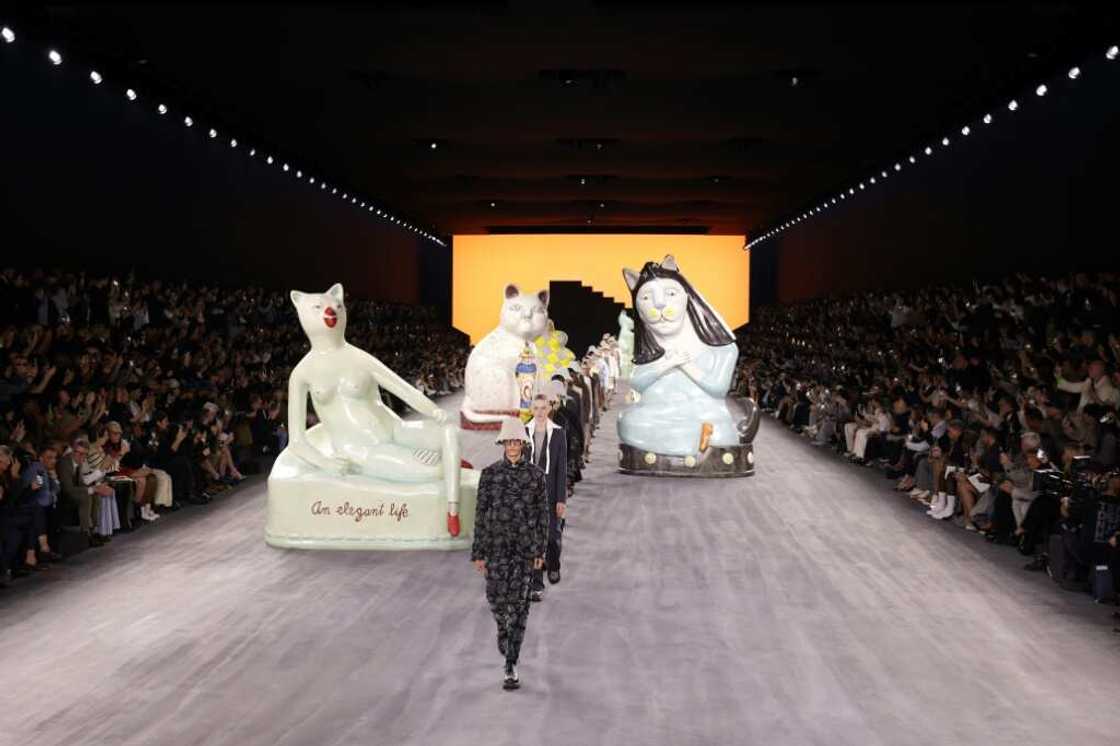 Cats inspired by artist Hylton Nel on the catwalk for Dior Cats inspired by artist Hylton Nel on the catwalk for Dior