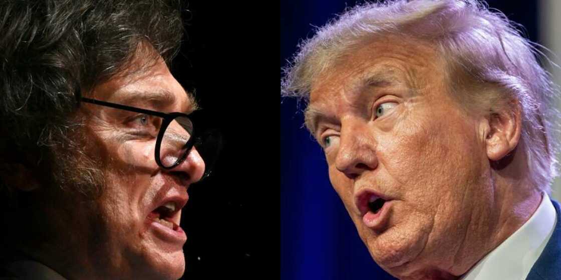 Comparing Argentina's president-elect Javier Milei to former US president Donald Trump could be misleading, analysts say Comparing Argentina's president-elect Javier Milei to former US president Donald Trump could be misleading, analysts say