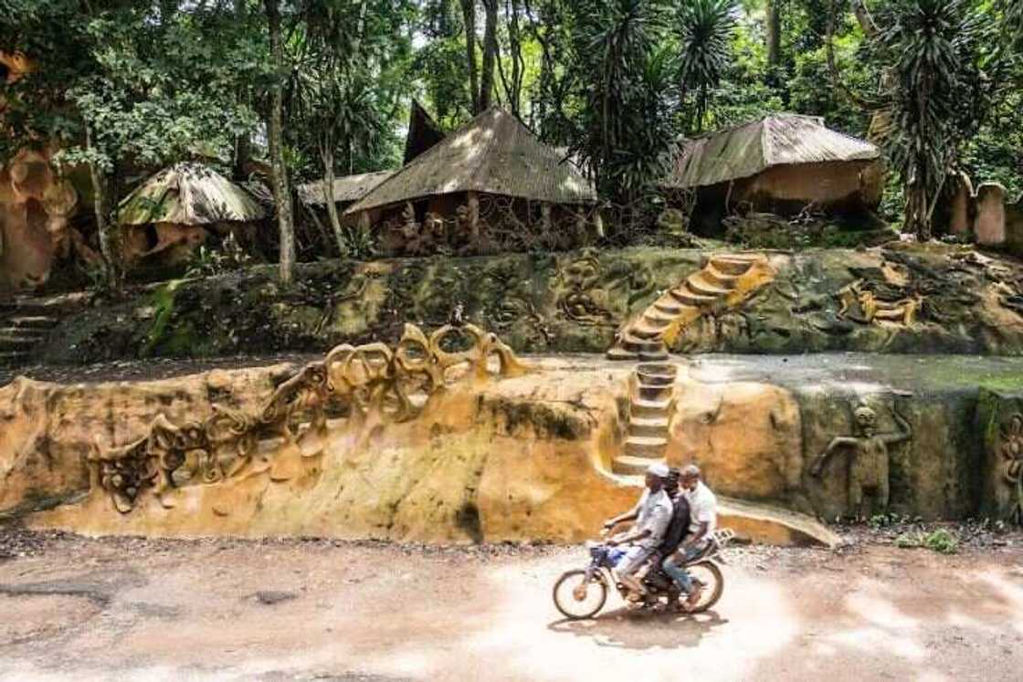 Google Arts & Culture, CyArk and Adunni Olorisha Trust partner to digitally preserve Osun Osogbo Sacred Grove Google Arts & Culture, CyArk and Adunni Olorisha Trust partner to digitally preserve Osun Osogbo Sacred Grove