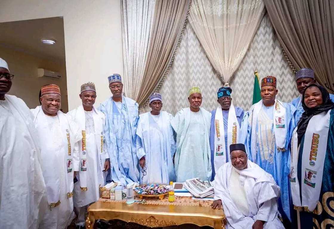 2023 election, Ex-Lagos governor, APC delegates in Katsina state, Aminu Masari