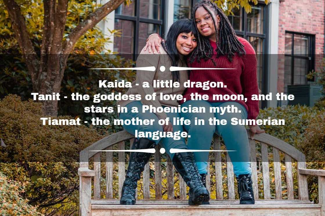 female dragon names female dragon names