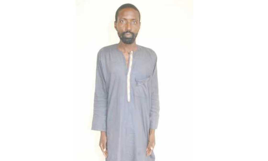 Yansanda sun kama babban barawon shanu, sun kwato dabbobi 30 Yansanda sun kama babban barawon shanu, sun kwato dabbobi 30