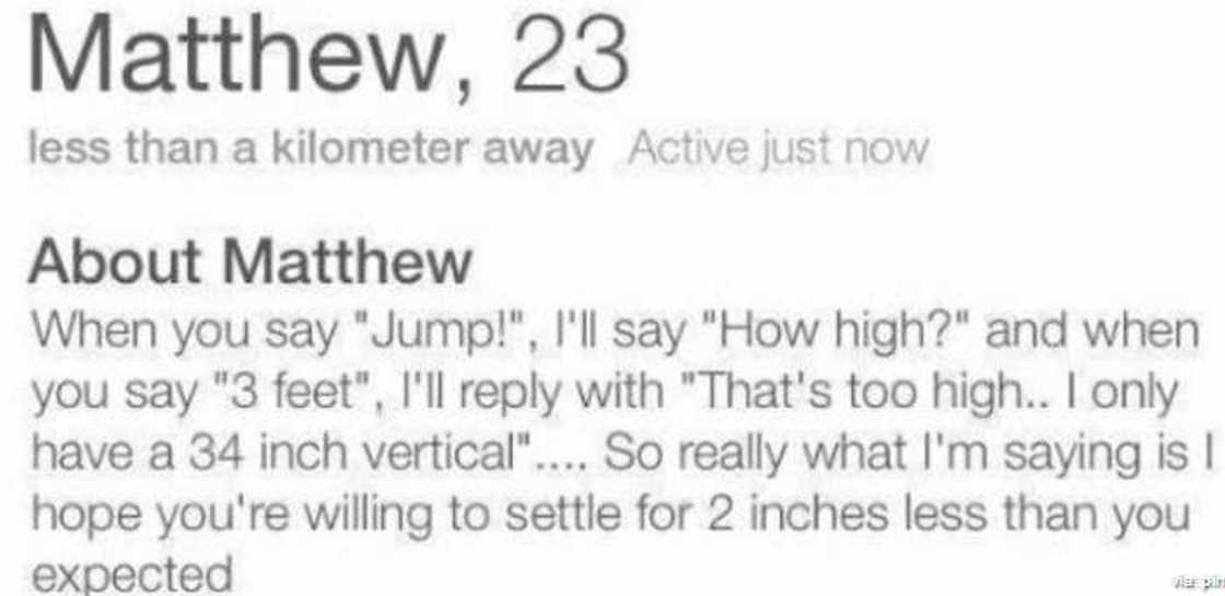 good tinder bios good tinder bios