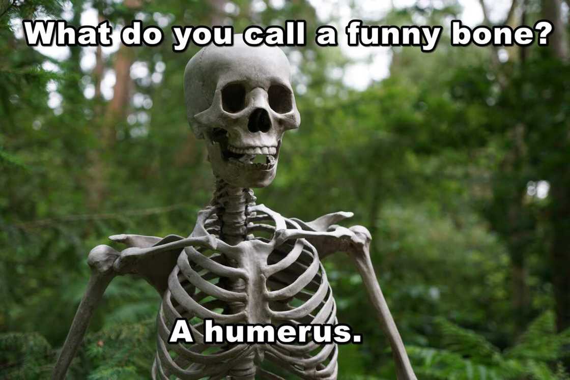 Bone jokes Bone jokes