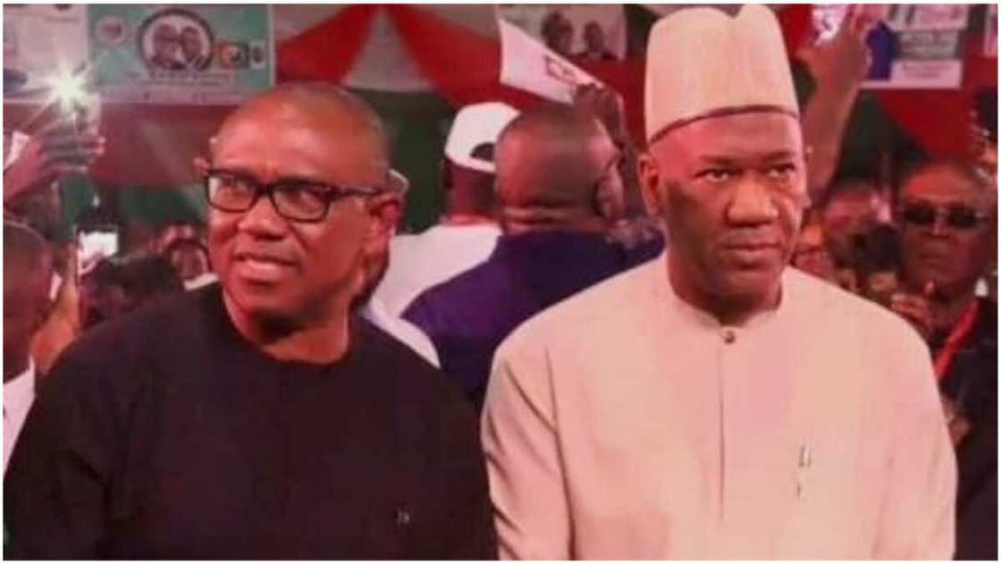 Peter Obi/2023/Labour Party/PDP/APC Peter Obi/2023/Labour Party/PDP/APC