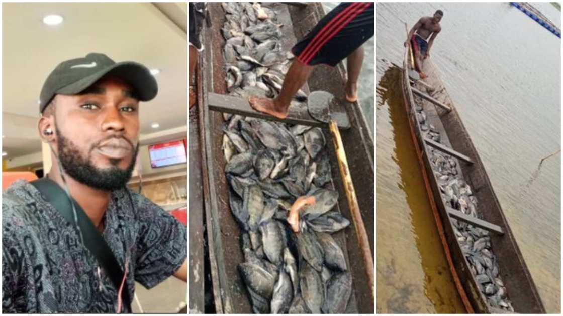 Nigerian man catches fresh Tilapia fishes inside his canoe, goes on Twitter to promote his hustle