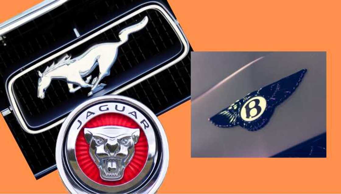 Expensive car logos 2019