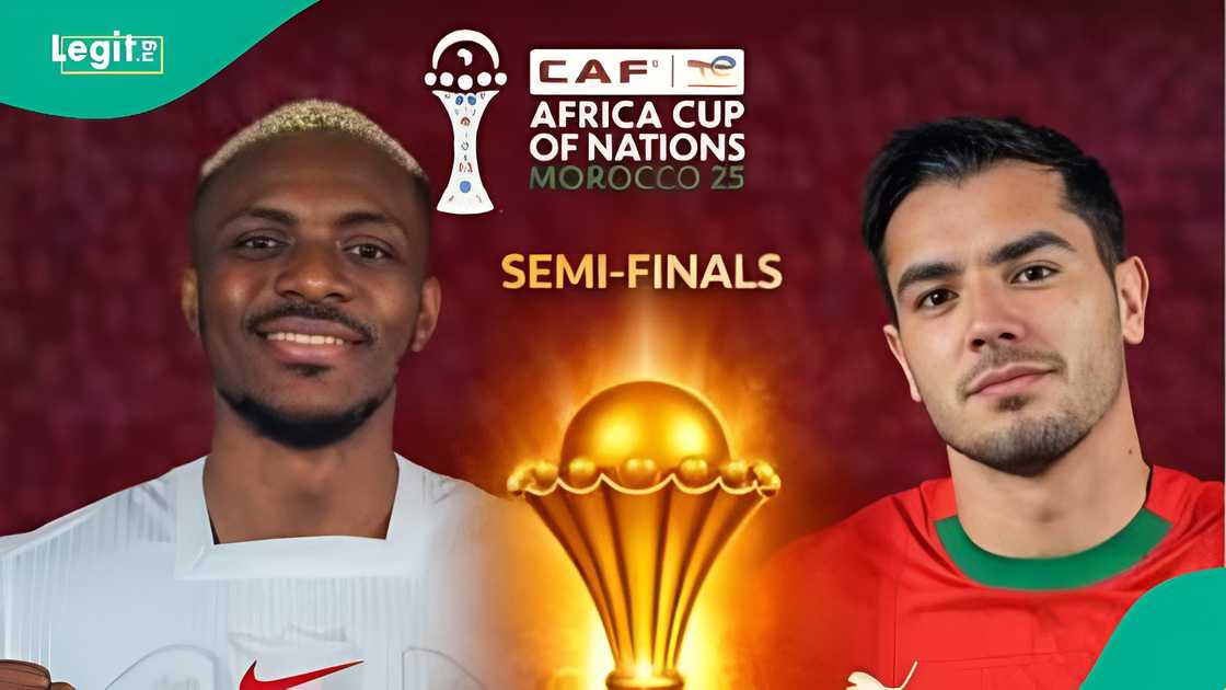 Parrot, cat, and dog make headlines for AFCON semi-final predictions