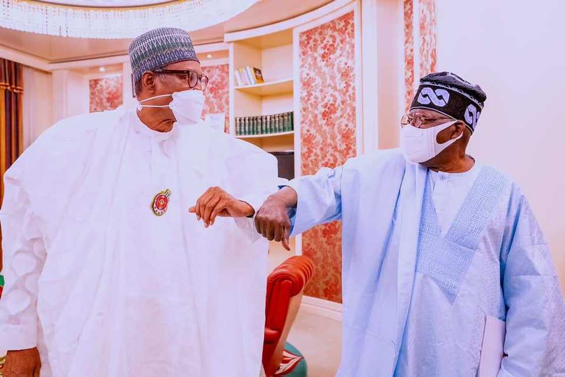 2023 Presidency: Buhari Did'nt Ask Me Not to Run, Tinubu Opens Up