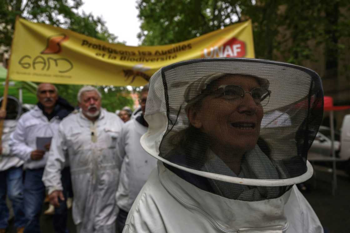 Beekeepers have branded the pesticide 'a bee killer' Beekeepers have branded the pesticide 'a bee killer'