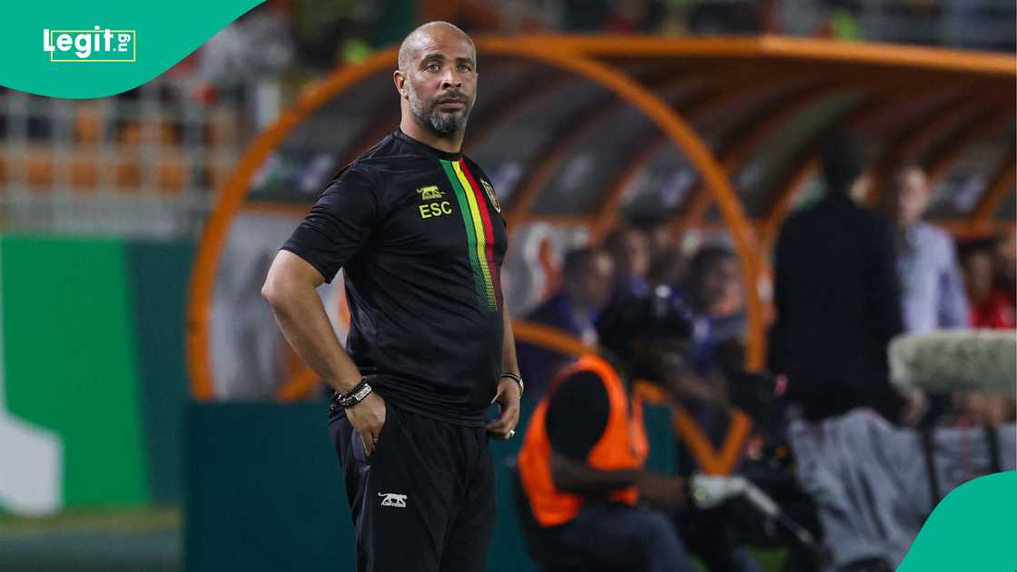 Eric Chelle, Mali, Tunisia, Amadou Gon Coulibaly Stadium, Korhogo, Ivory Coast, AFCON 2023. Eric Chelle, Mali, Tunisia, Amadou Gon Coulibaly Stadium, Korhogo, Ivory Coast, AFCON 2023.