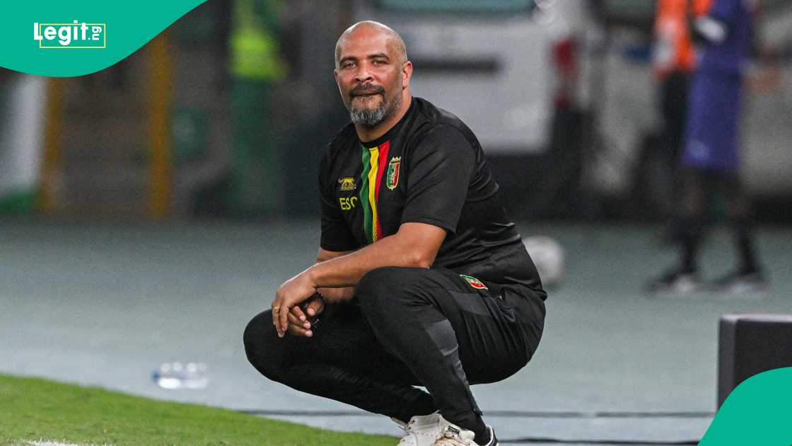 Nigeria journalist Mitchell Obi wants NFF to sack Eric Chelle. Nigeria journalist Mitchell Obi wants NFF to sack Eric Chelle.