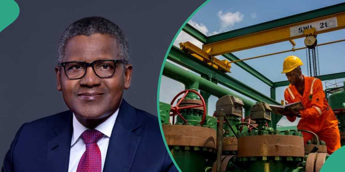 Marketers join queue as Dangote set to receive last batch of crude oil, hit market Marketers join queue as Dangote set to receive last batch of crude oil, hit market