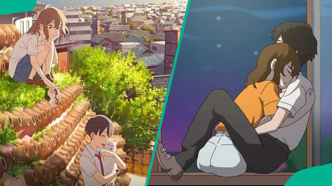 best romantic anime movies best romantic anime movies
