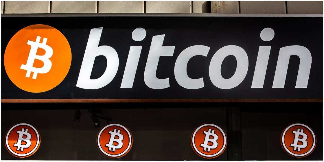 Bitcoin shatters gold again, as Elon Musk, Microstrategy backing continues to aid crypto Bitcoin shatters gold again, as Elon Musk, Microstrategy backing continues to aid crypto