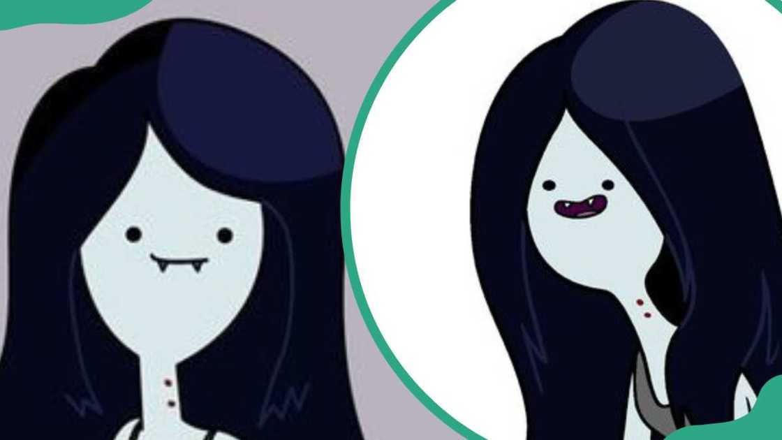 Marceline the queen vampire from Adventure Time Marceline the queen vampire from Adventure Time