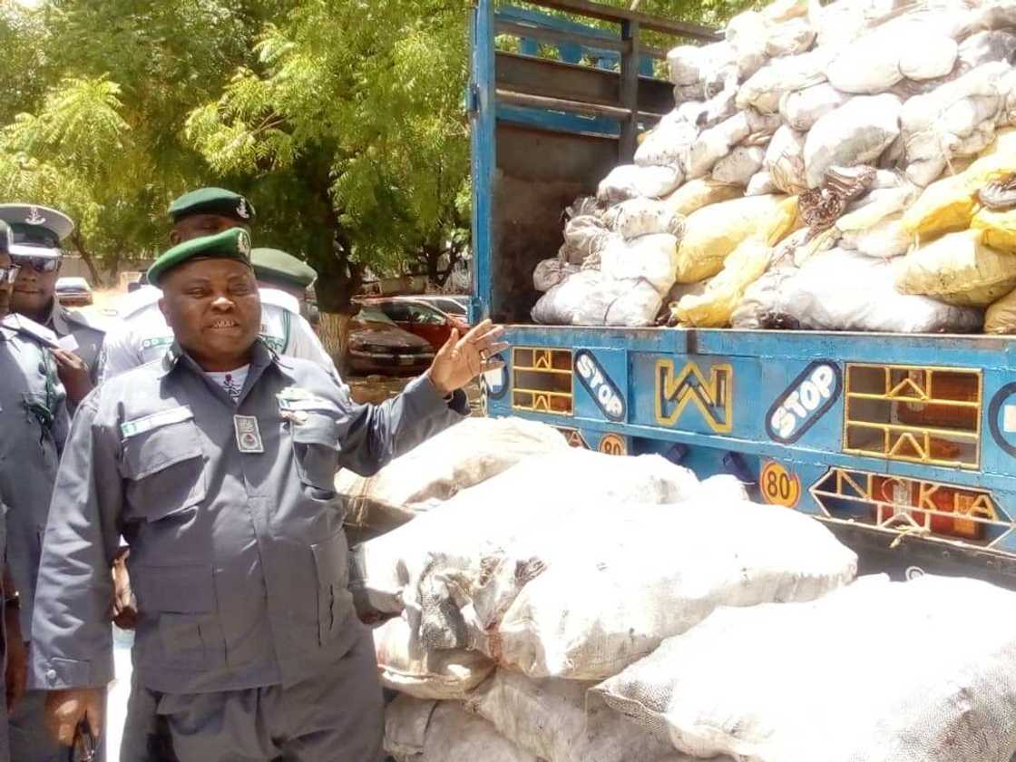 Hukumar Kwastam ta kama buhunan naman jaki 414 a Kebbi Hukumar Kwastam ta kama buhunan naman jaki 414 a Kebbi