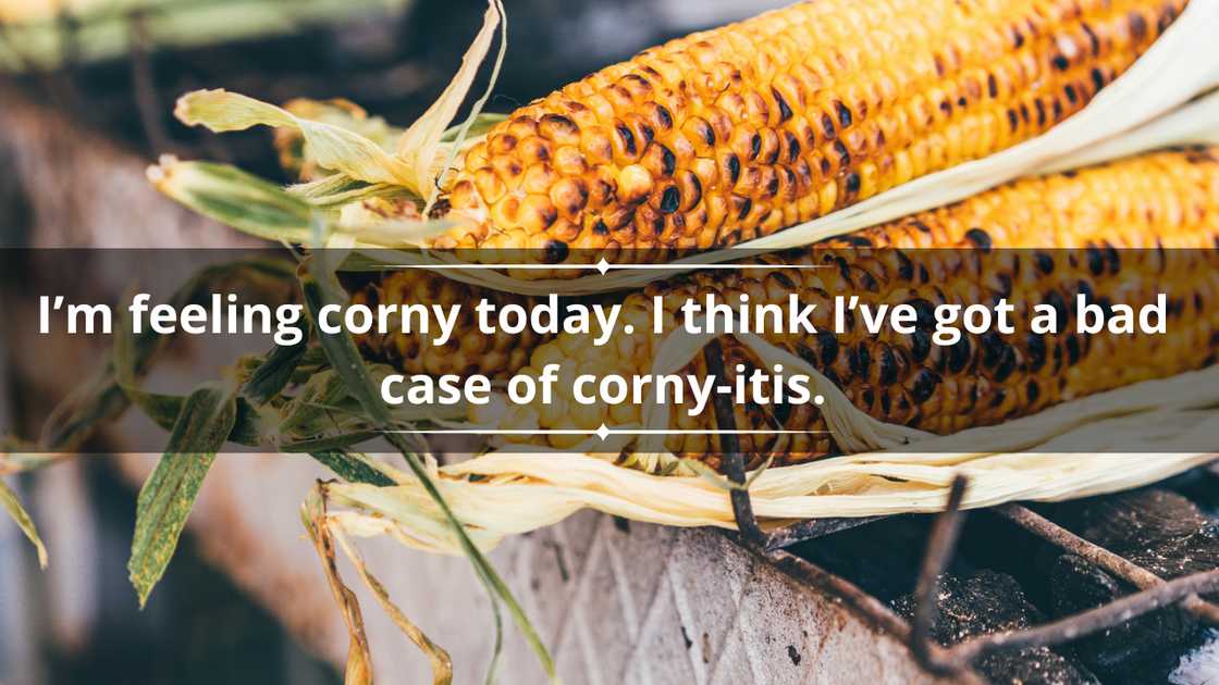 Corn pun one-liners Corn pun one-liners