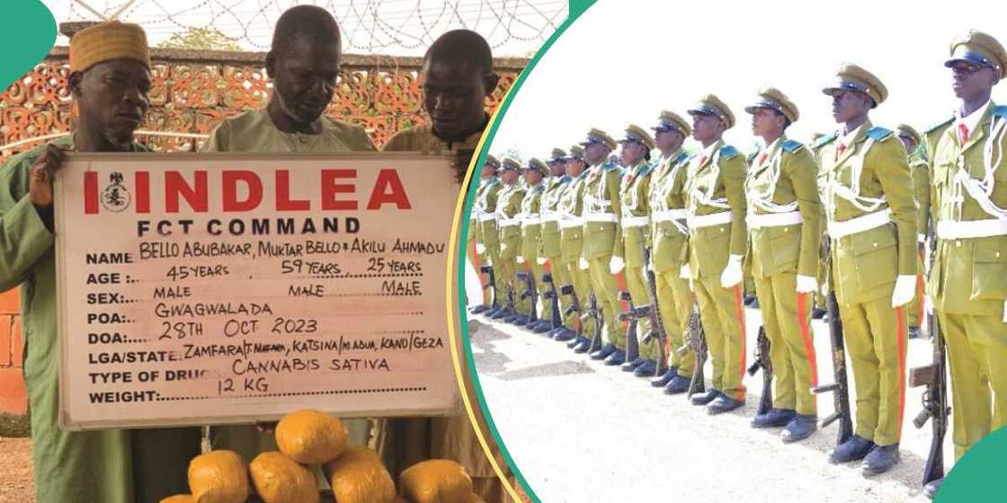 NDLEA arrests blind drug dealers