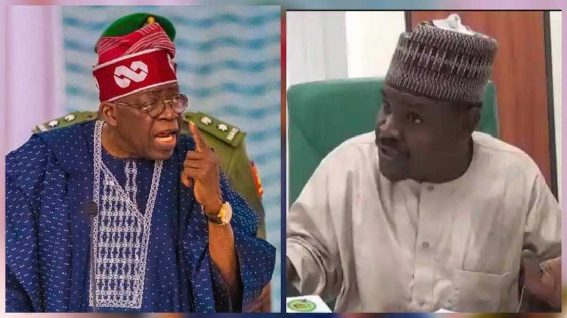 Shugaba Tinubu da Gudaji Kazaure. Shugaba Tinubu da Gudaji Kazaure.