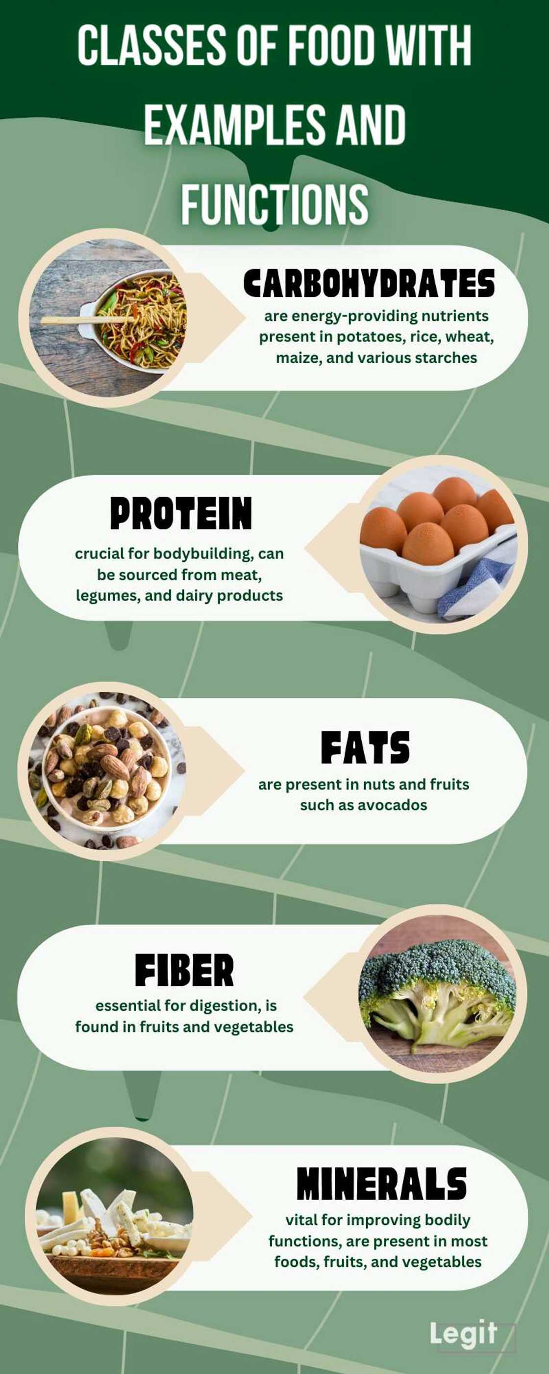 Classes of food with examples and functions