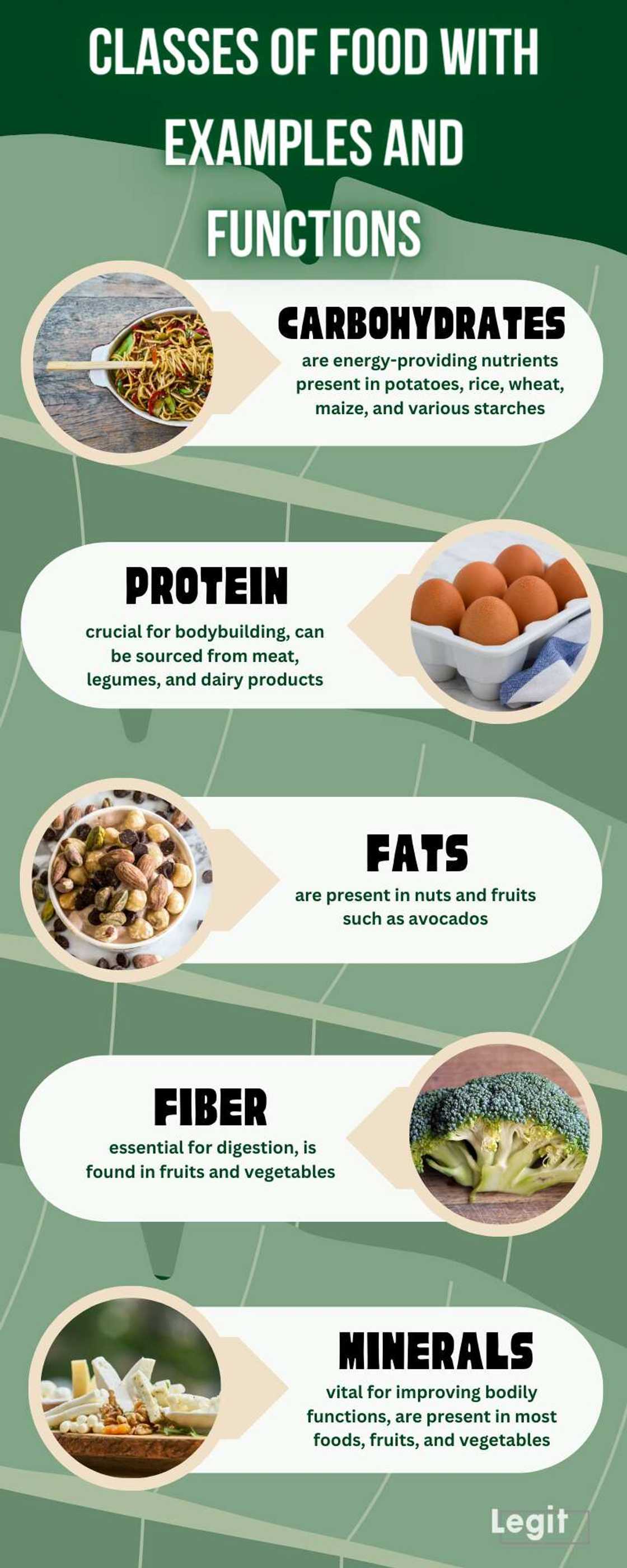 Classes of food with examples and functions Classes of food with examples and functions