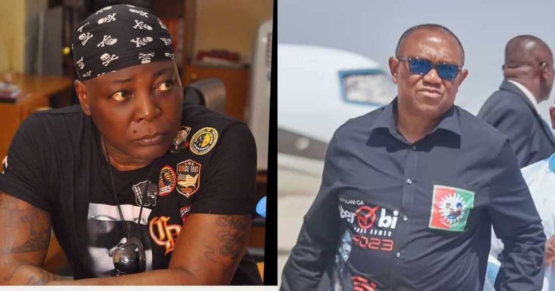 Charly Boy, Peter Obi, Tribunal