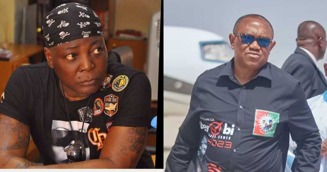 Charly Boy, Peter Obi, Tribunal Charly Boy, Peter Obi, Tribunal