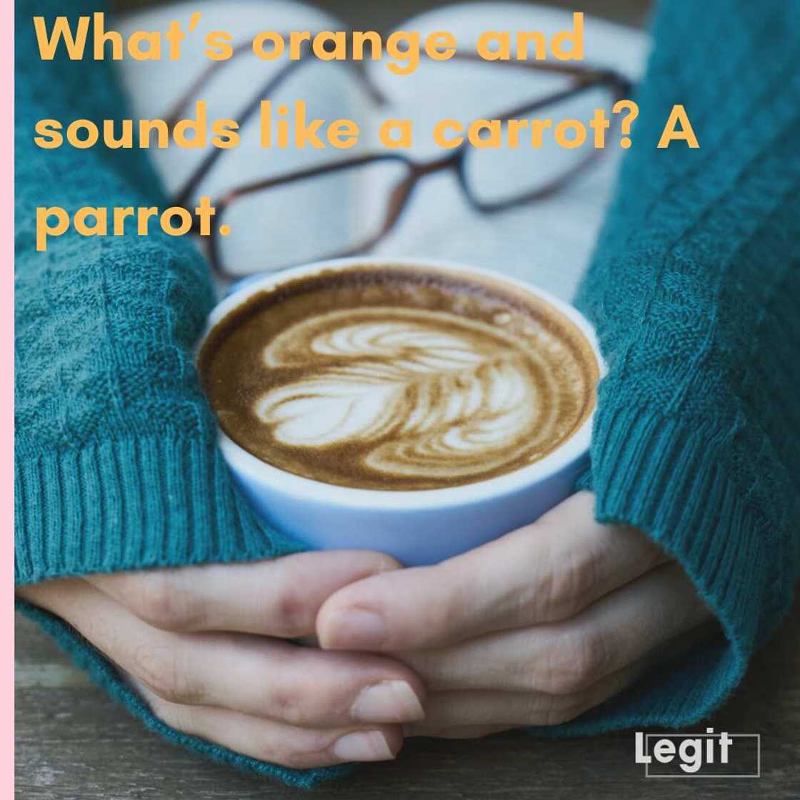 funny one liners funny one liners