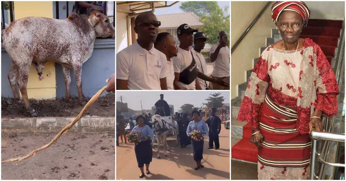 Nollywood actor Ijebu Nollywood actor Ijebu