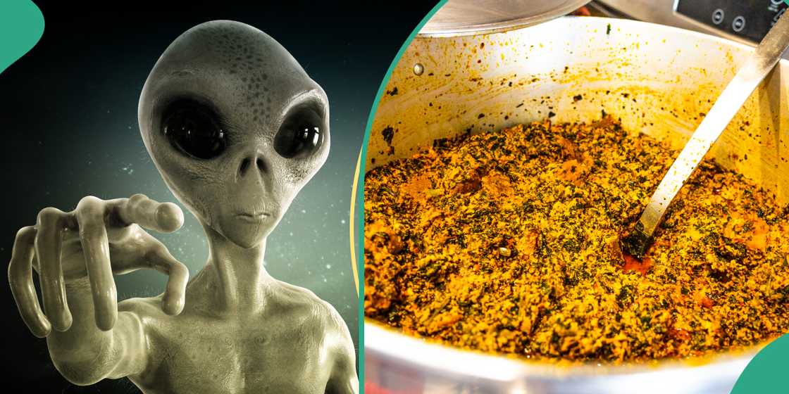 Alien and Egusi Alien and Egusi