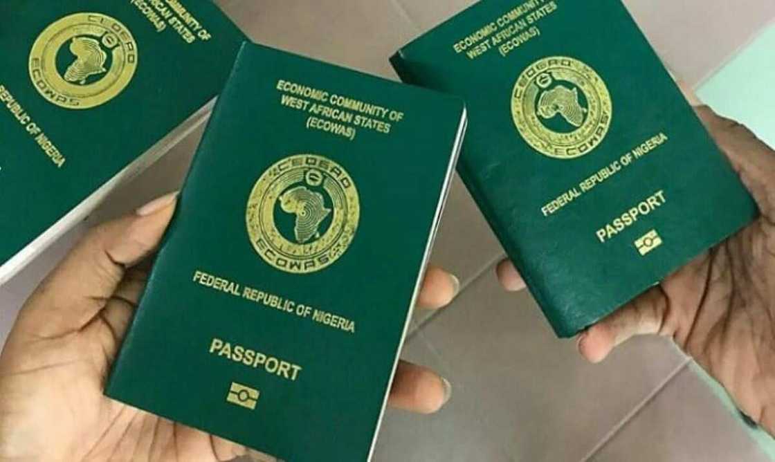 Nigerian passports