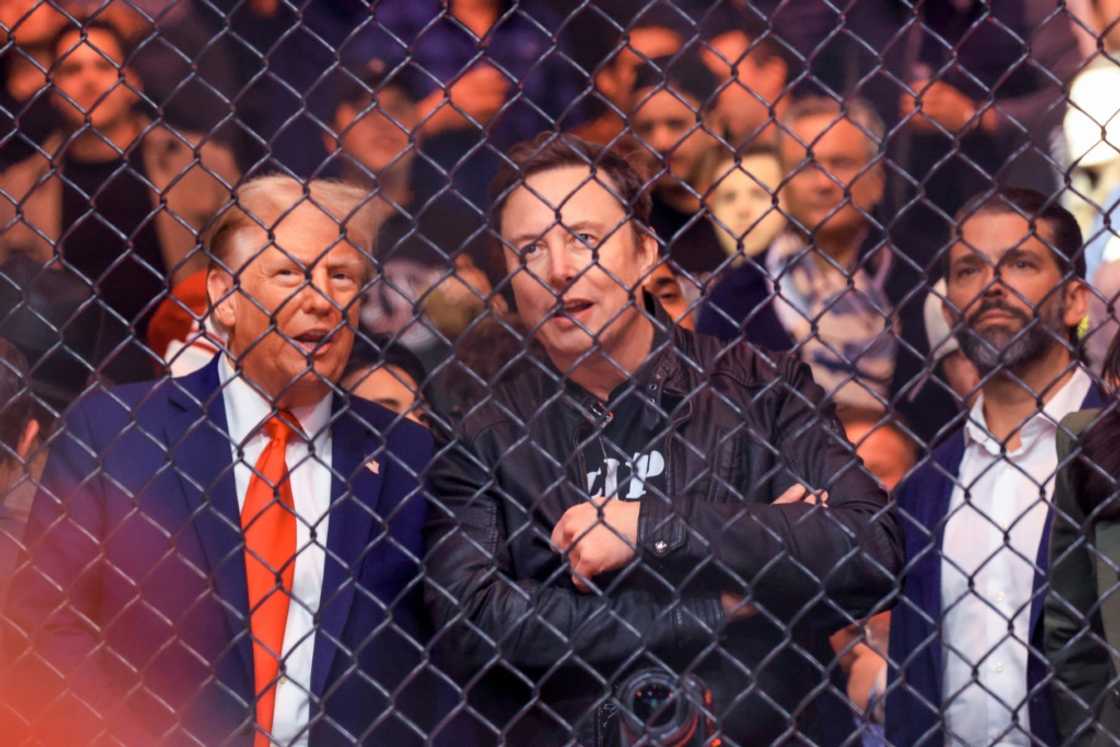 Donald Trump and Elon Musk have become increasingly close since the Republican's US election victory Donald Trump and Elon Musk have become increasingly close since the Republican's US election victory