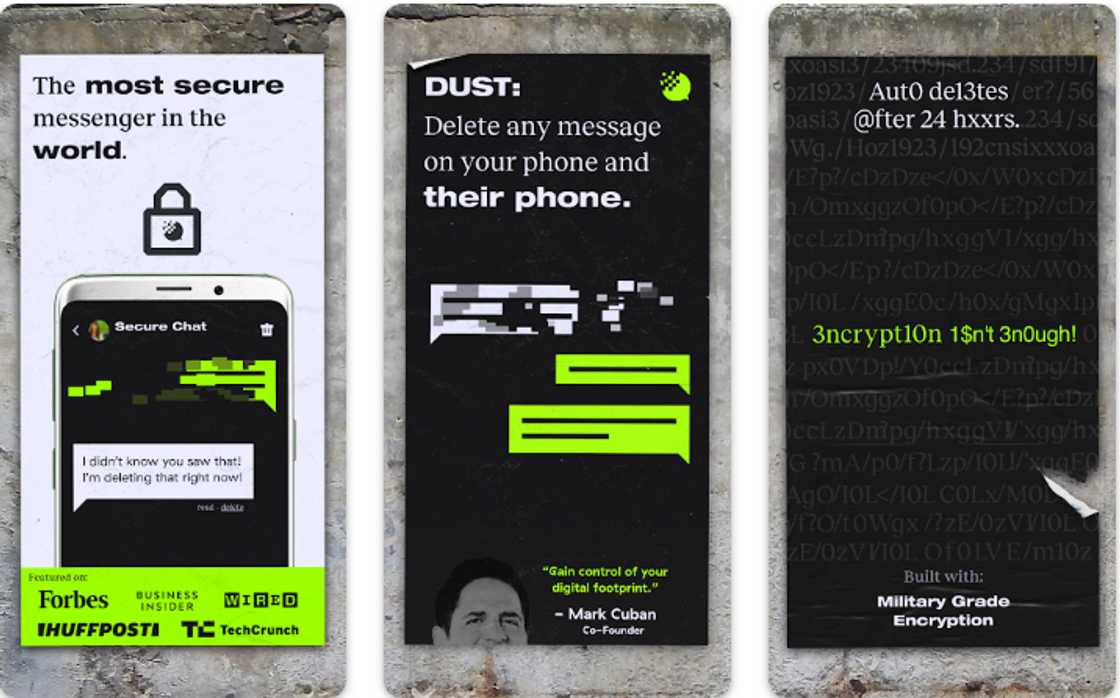 Main features of Dust.