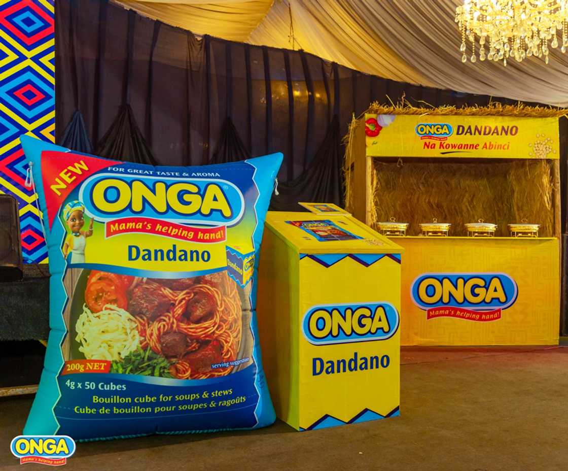 ONGA Ɗanɗano: Bringing the Authentic Taste of Arewa to Northern Kitchens