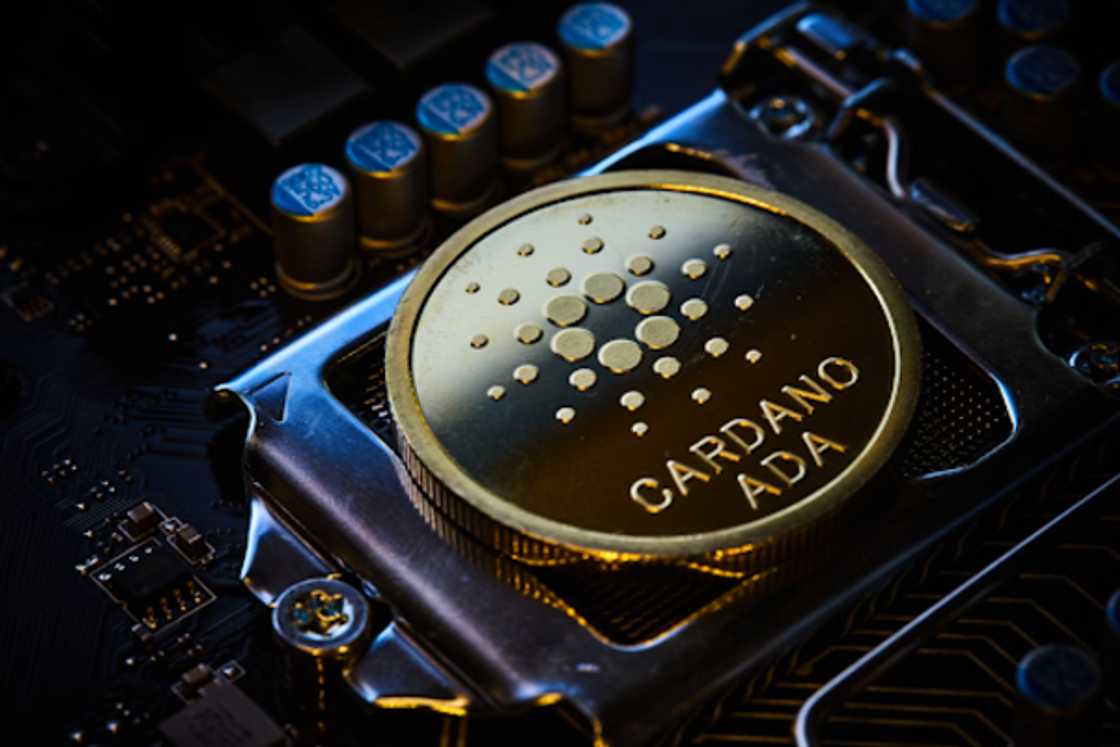 The 4 top crypto coins right now for 100x gains: Cold wallet, Cardano, Dogecoin, and Solana ranked by real utility