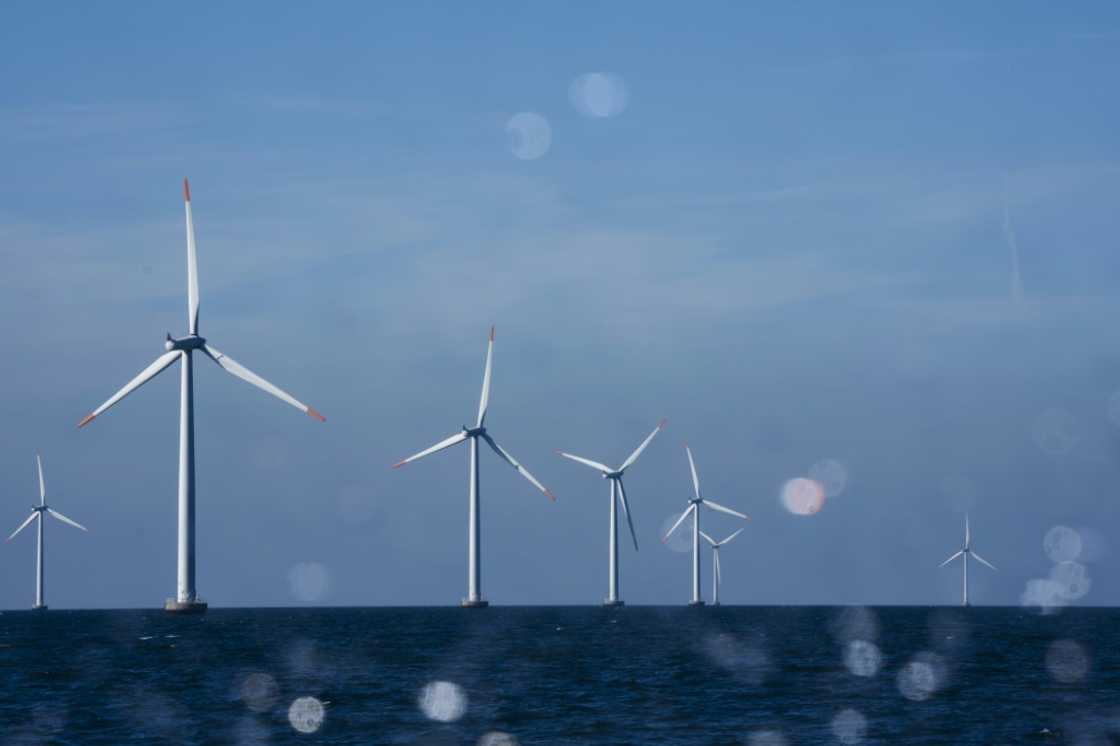 Orsted was dealt a $4 billion blow last year when it cancelled wind farm projects in the United States Orsted was dealt a $4 billion blow last year when it cancelled wind farm projects in the United States