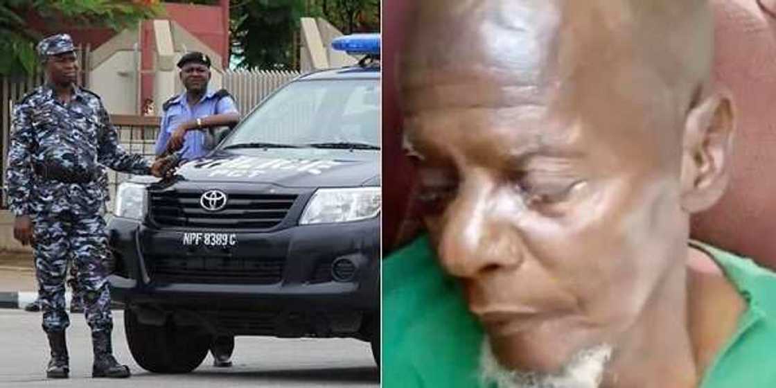 An yanka ta tashi: ‘Yan Sanda sun cafke ‘Yan OPC da su ka kama 'Shugaban 'Yan bindiga' An yanka ta tashi: ‘Yan Sanda sun cafke ‘Yan OPC da su ka kama 'Shugaban 'Yan bindiga'