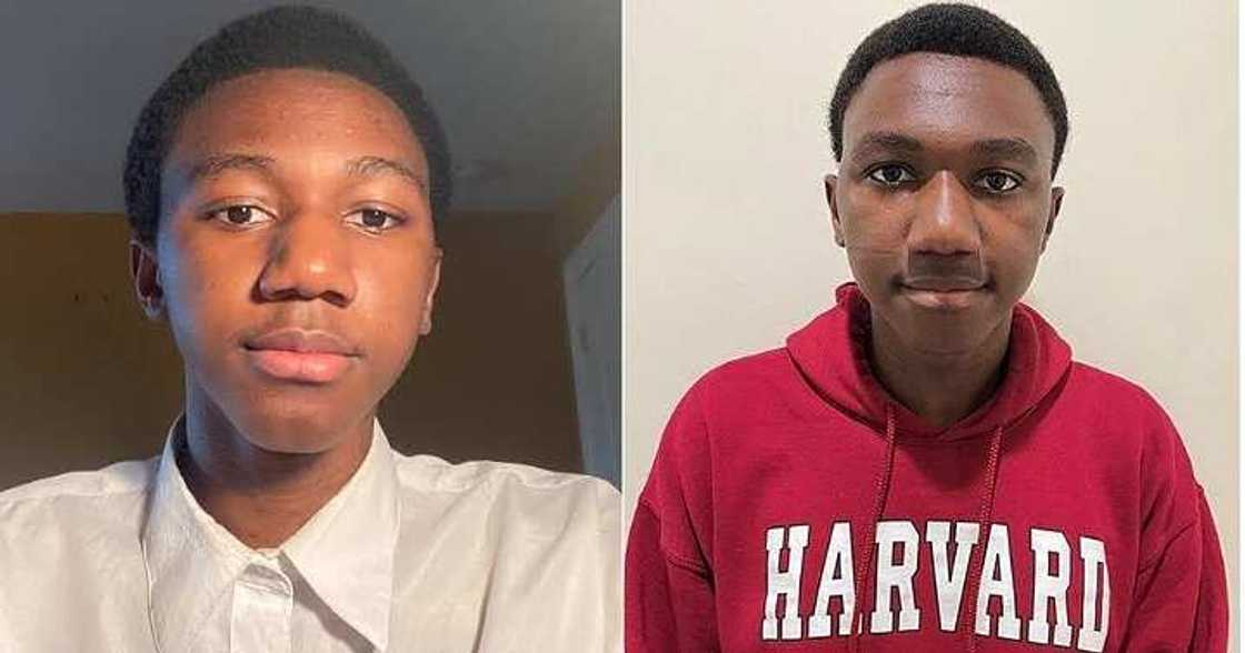 Brilliant Nigerian boy gets over 40 scholarship offers Brilliant Nigerian boy gets over 40 scholarship offers