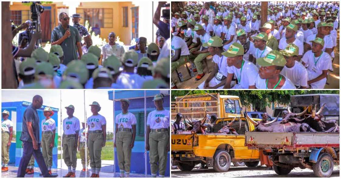 Zulum/NYSC member in Borno