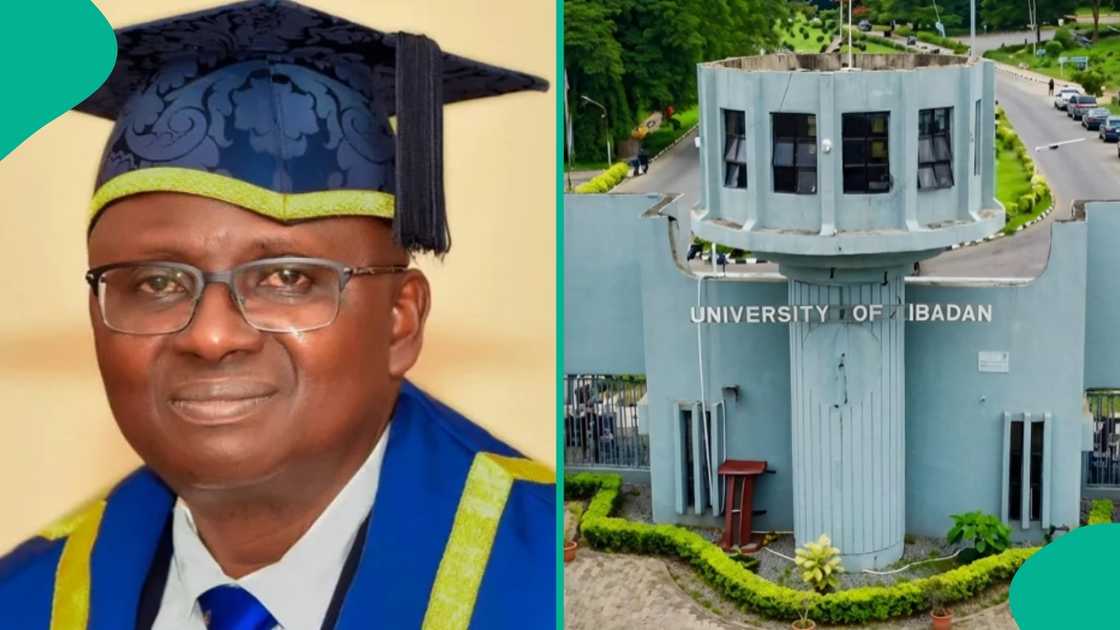 University of Ibadan shares admission cut-off marks for 2026/2027 engineering courses University of Ibadan shares admission cut-off marks for 2026/2027 engineering courses