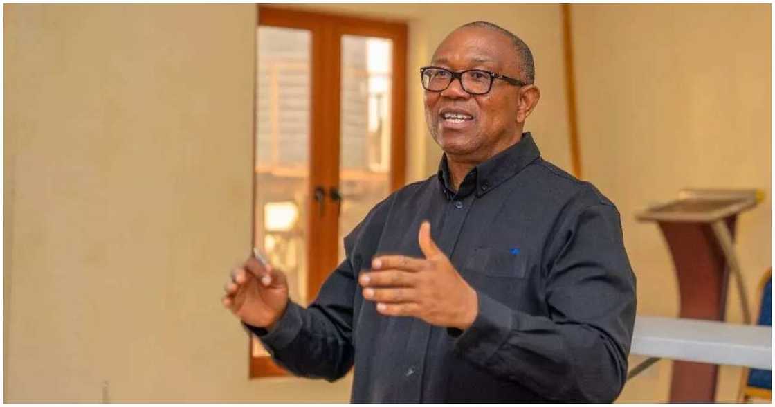 peter obi/peter obi news peter obi/peter obi news