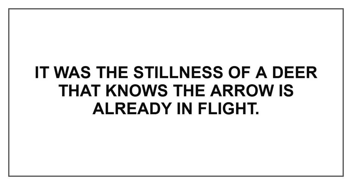 It was the stillness of a deer that knows the arrow is already in flight.