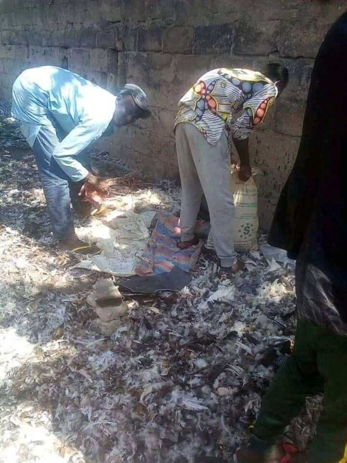 Shekaru 5 ina sayarwa mutane mushen kaji a Maiduguri, Ebere Shekaru 5 ina sayarwa mutane mushen kaji a Maiduguri, Ebere