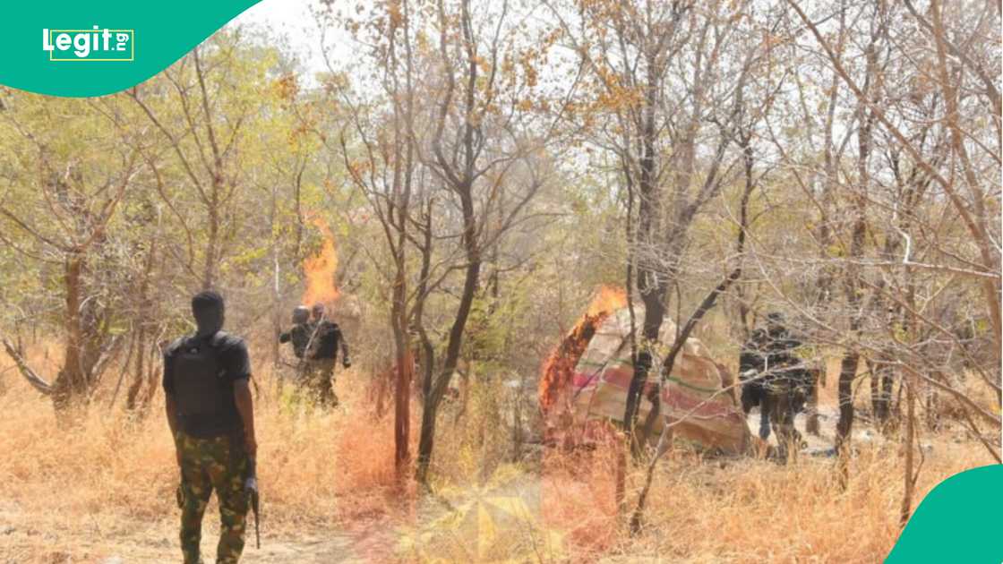 Sojoji Najeriya a wani daji a jihar Zamfara