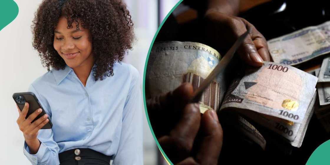 Naira, exchange rates, CBN Naira, exchange rates, CBN
